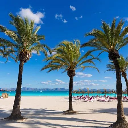 Son Fanals Villa Alcudia (Mallorca)